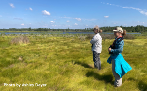 Two researches standing in grassy area of a marsh