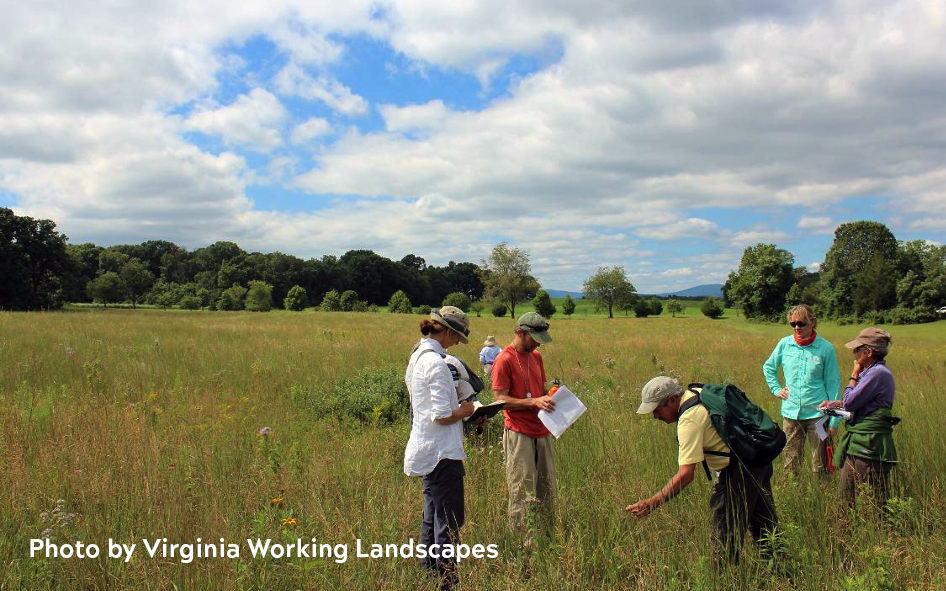 A handful of researchers and others in a large field making observations